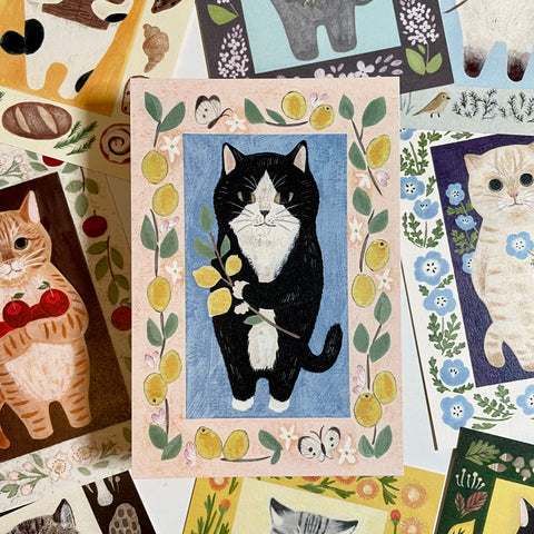 4legs Neko Postcard / Tuxedo Cat
