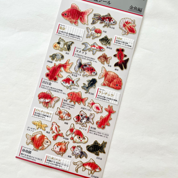 KAMIO Adult Illustrated Picture Sticker / Gold Fish