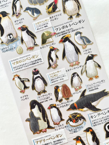 KAMIO Adult Illustrated Picture Sticker / Penguins