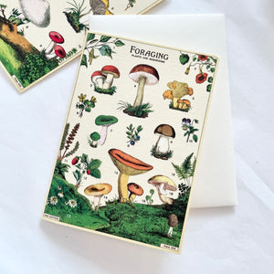 Cavallini Pocket Card - Plants & Mushrooms l