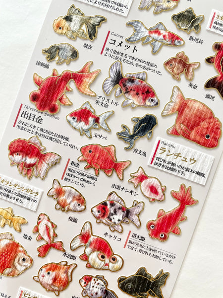 KAMIO Adult Illustrated Picture Sticker / Gold Fish