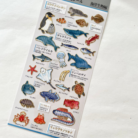 KAMIO Adult Illustrated Picture Sticker / Marine Life