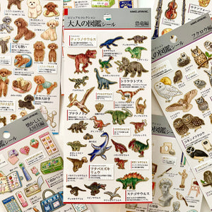 KAMIO Adult Illustrated Picture Sticker / Dinosaur