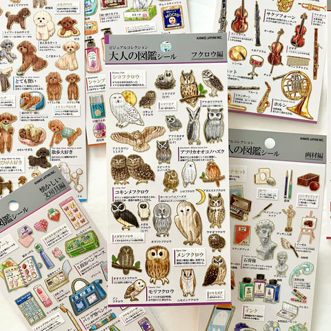 KAMIO Adult Illustrated Picture Sticker / Owl