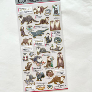 KAMIO Adult Illustrated Picture Sticker / Otter