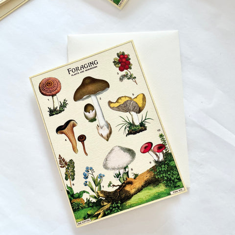 Cavallini Pocket Card - Plants & Mushrooms ll