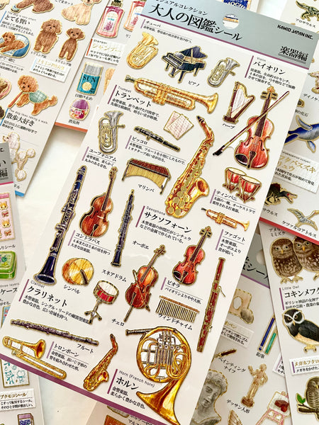 KAMIO Adult Illustrated Picture Sticker / Music Instrument