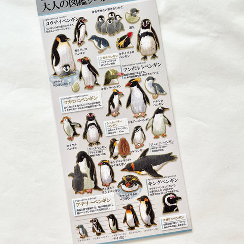 KAMIO Adult Illustrated Picture Sticker / Penguins