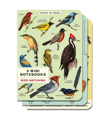 Cavallini 3in1 Mini Notebook - Bird Watching