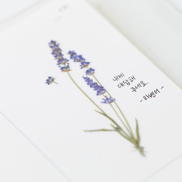 Pressed Flowers Sticker - Lavender