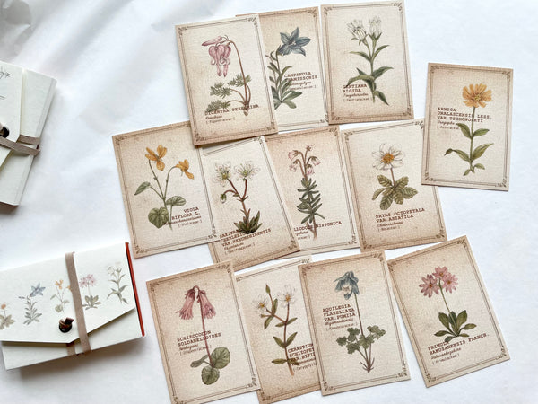 Visual Dictionaries Message Card / Alpine Plants