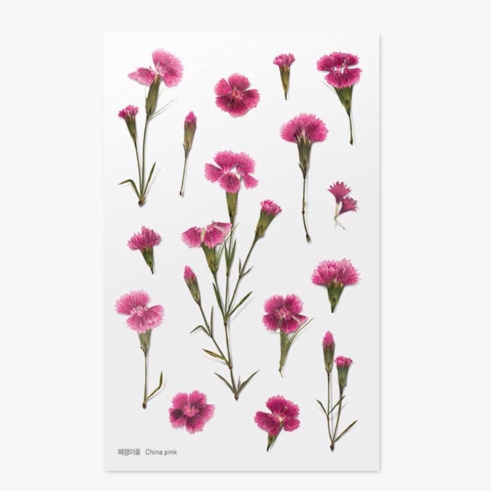 Pressed Flowers Sticker - China Pink
