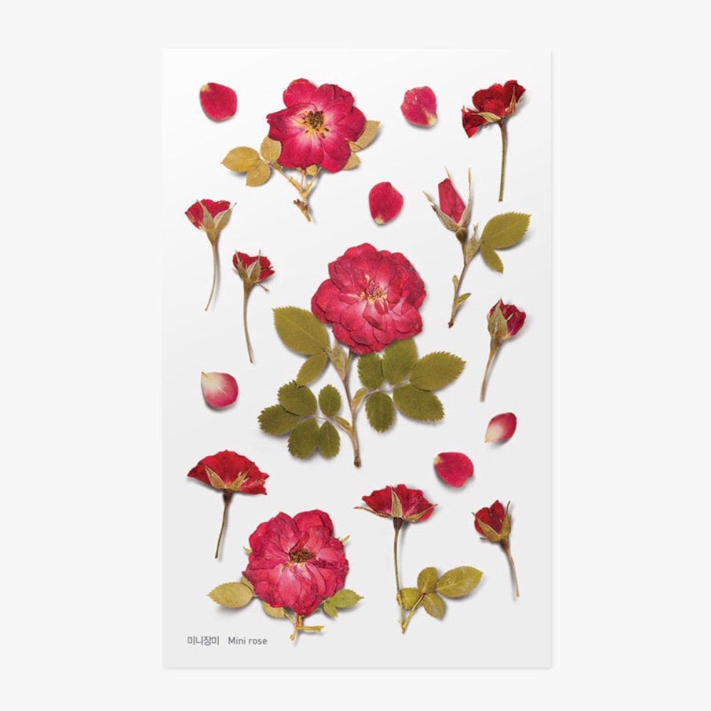 Pressed Flowers Sticker - Mini Rose
