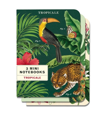 Cavallini 3in1 Mini Notebook - Tropicale