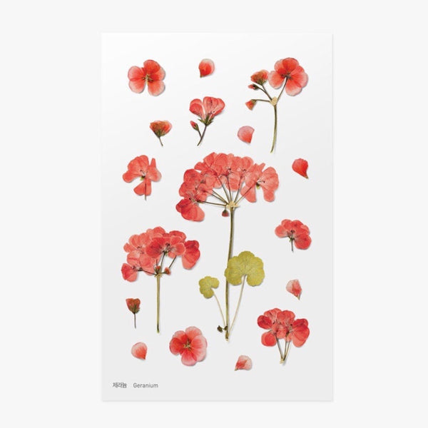 Pressed Flowers Sticker - Geranium
