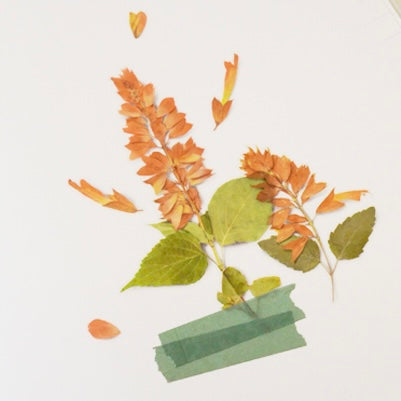 Pressed Flowers Sticker - Salvia