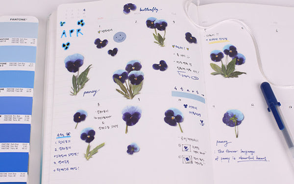 Pressed Flowers Sticker - Pansy