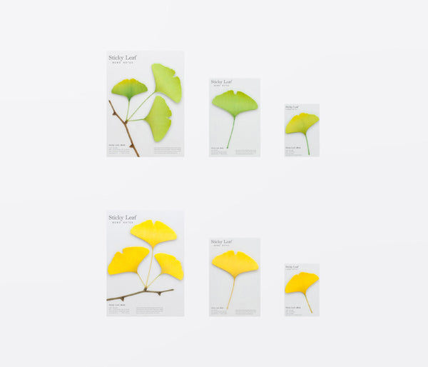 Sticky Leaf Ginkgo (2 Colors)